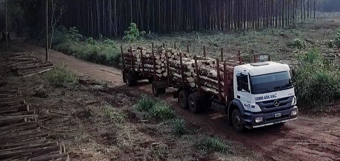 Mercedes-Benz Argentina lanzó “Recomendados por Expertos”